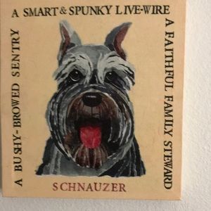 Adorable Schnauzer Canvas